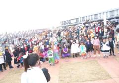 image-slider-with-thumbnail2.jpeg