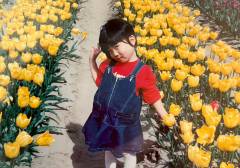 image-slider-with-thumbnail2.jpeg