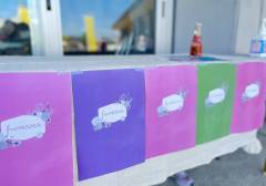 image-slider-with-thumbnail3.jpeg